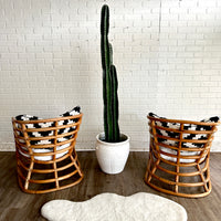 Pair of Bamboo Chairs with Cushions