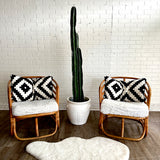 Pair of Bamboo Chairs with Cushions