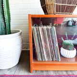 Danish Vintage Stereo Cabinet