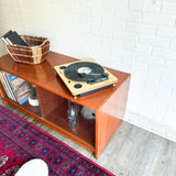 Danish Vintage Stereo Cabinet