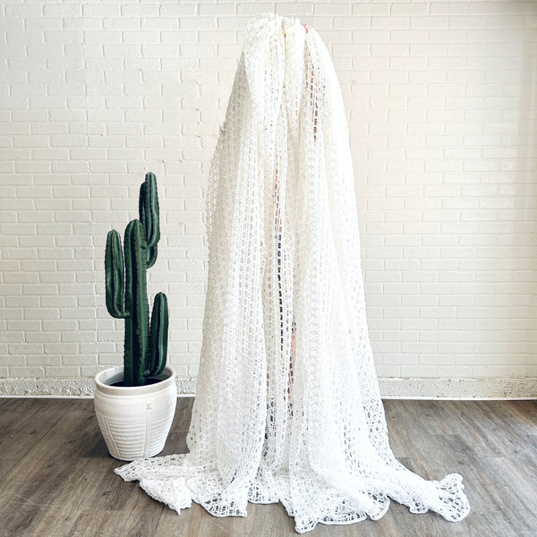 Vintage Pin-Pleat Lace Curtain
