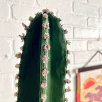 Large Artificial 5’ Cactus - Made with Organic Polymer