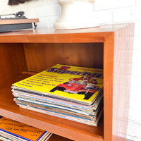 Danish MCM Teak Record Console with Slide Out & Adjustable Shelves