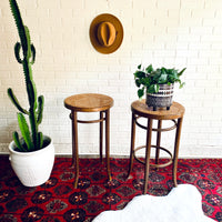 Pair Bentwood Stool & Plant Stand