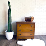 Vintage Chest of Drawers Project Piece