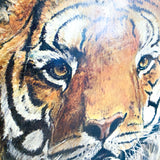 1960s Tiger Art on Art Board by Phil Prentice